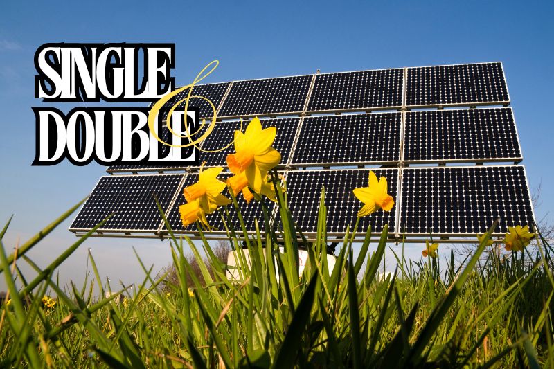 Single Glass vs. Double Glass Solar Modules Which is Better
